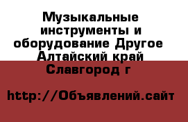 Музыкальные инструменты и оборудование Другое. Алтайский край,Славгород г.